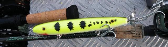 ブラジル アマゾン ピーコックバスツアー2009！海外釣りツアーの専門店